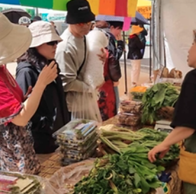 강원n 홍천 산나물축제