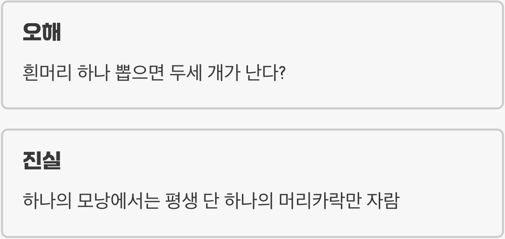 '뽑으면 두 개 난다?' 진실 혹은 거짓
