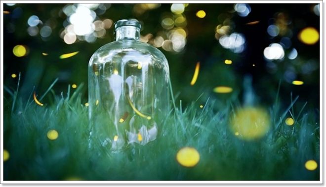 화담숲 예약, 2025년 반딧불이 축제 사전예매