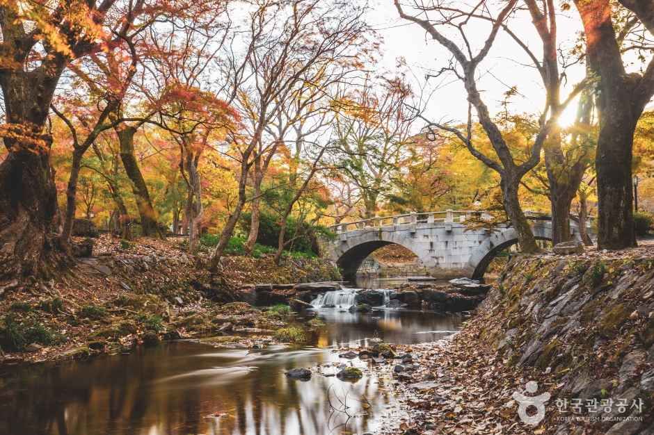 선운사
