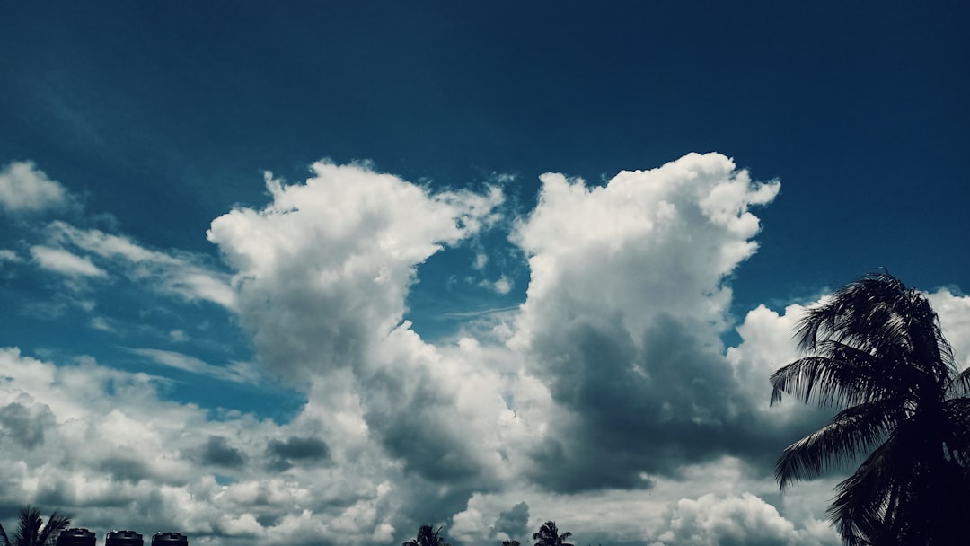 Sky.