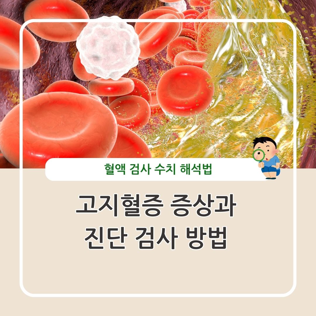 고지혈증의 증상과 진단 검사 방법 정리
