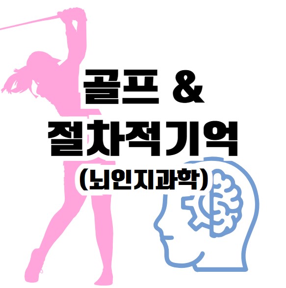 골프와 뇌인지과학의 절차적 기억(Procedural Memory)은 매우 밀접한 관계가 있으며, 골프에서의 기술 학습과 수행에 있어 절차적 기억이 중요한 역할을 합니다. 절차적 기억은 복잡한 신체적 기술을 반복 학습을 통해 무의식적으로 수행할 수 있게 하는 기억의 한 형태로, 골프 스윙, 퍼팅, 코스 매니지먼트 등의 골프 활동에서 핵심적입니다. 이를 뇌인지과학 관점에서 분석하고, 골프와 절차적 기억 간의 상관관계를 상세히 설명하겠습니다.

1. 절차적 기억(Procedural Memory)의 정의
절차적 기억은 장기 기억의 한 유형으로, 기술과 습관을 무의식적으로 저장하고 실행하는 역할을 합니다. 이는 반복적인 학습과 훈련을 통해 형성되며, 주로 기저핵(basal ganglia), 소뇌(cerebellum), **대뇌피질(cortex)**과 같은 뇌의 특정 영역에 저장됩니다.

1.1 특징
자동화된 동작: 학습된 기술은 의식적인 노력이 없이도 수행됩니다.

점진적 학습: 반복적인 경험과 훈련을 통해 점진적으로 형성됩니다.

오래 지속: 일단 형성된 절차적 기억은 시간이 지나도 잘 잊히지 않습니다.

2. 골프와 절차적 기억의 상관관계
골프는 복잡한 신체적, 정신적 기술의 조합으로 이루어진 스포츠로, 절차적 기억이 효과적으로 작동하지 않으면 성공적인 플레이가 어렵습니다. 특히, 골프의 스윙 동작, 퍼팅, 코스 매니지먼트는 모두 절차적 기억의 영향을 받습니다.

2.1 골프 스윙과 절차적 기억
골프 스윙은 매우 정교하고 복잡한 신체 움직임으로, 이를 잘 수행하려면 절차적 기억이 필수적입니다.

스윙 패턴 학습: 초보 골퍼는 처음에 스윙의 각 단계를 의식적으로 학습하지만, 반복적인 연습을 통해 절차적 기억이 형성되면 스윙 동작이 자동화됩니다.

스윙 일관성: 절차적 기억은 동일한 스윙 패턴을 재현하여 일관된 결과를 도출하도록 돕습니다.

뇌의 역할: 기저핵은 스윙의 리듬과 타이밍을 조절하며, 소뇌는 움직임의 정교함과 정확성을 담당합니다.

2.2 퍼팅과 절차적 기억
퍼팅은 미세한 조정과 섬세한 근육 조절이 요구되는 동작으로, 절차적 기억이 정확성을 유지하는 데 중요한 역할을 합니다.

거리 감각과 힘 조절: 절차적 기억은 이전의 퍼팅 경험을 바탕으로 적절한 힘과 방향을 조절합니다.

무의식적 수행: 퍼팅 루틴은 절차적 기억을 통해 무의식적으로 실행되며, 심리적 부담을 줄이고 성공률을 높입니다.

2.3 코스 매니지먼트와 절차적 기억
골프 코스 매니지먼트는 특정 상황에서 최적의 전략을 선택하는 과정으로, 이 또한 절차적 기억의 영향을 받습니다.

전략적 의사결정: 반복적인 경기 경험을 통해 습득한 전략적 판단이 절차적 기억에 저장되어, 유사한 상황에서 자동으로 실행됩니다.

위기 대응: 예를 들어, 장애물 주변에서의 샷은 절차적 기억에 기반한 판단과 동작의 조합으로 이루어집니다.

3. 뇌인지과학 관점에서의 분석
절차적 기억은 뇌의 여러 영역이 상호작용하여 형성됩니다. 골프와 같은 정교한 스포츠 활동에서는 이러한 뇌의 역할이 더욱 두드러집니다.

3.1 기저핵(Basal Ganglia)
역할: 기저핵은 움직임의 계획과 실행을 조율하며, 반복적인 동작을 자동화합니다.

골프에서의 기능: 스윙의 리듬, 타이밍, 그리고 루틴의 자동화는 기저핵의 활동 덕분입니다. 예를 들어, 드라이버 샷에서 일정한 리듬으로 스윙할 수 있는 이유는 기저핵 덕분입니다.

3.2 소뇌(Cerebellum)
역할: 소뇌는 움직임의 정밀성과 균형을 조정합니다.

골프에서의 기능: 스윙의 궤도, 퍼팅 시의 세밀한 움직임 조정 등이 소뇌에 의해 조율됩니다. 특히, 미세한 움직임이 요구되는 퍼팅이나 피치 샷에서 소뇌의 역할이 중요합니다.

3.3 대뇌피질(Cortex)
역할: 초기 학습 단계에서 동작의 의식적 조정을 담당하며, 이후에는 기억을 저장합니다.

골프에서의 기능: 새로운 스윙 기술을 학습하거나, 코스에서의 전략적 결정을 내리는 데 관여합니다.

3.4 신경가소성(Neuroplasticity)
개념: 신경가소성은 반복적인 훈련을 통해 뇌가 새로운 신경 경로를 형성하거나 기존 경로를 강화하는 과정을 말합니다.

골프에서의 활용: 초보 골퍼가 새로운 스윙 기술을 익히거나, 잘못된 습관을 교정하는 과정에서 신경가소성이 중요한 역할을 합니다.

4. 골프 기술 학습에서 절차적 기억의 형성과정
골프에서 절차적 기억이 형성되는 과정은 다음과 같습니다.

4.1 초기 학습 단계
의식적 조정: 골퍼는 새로운 기술을 배우는 동안 각 동작에 의식적으로 집중합니다.

느린 움직임: 초기에는 동작이 느리고 부자연스러울 수 있습니다.

4.2 반복 연습 단계
신경 회로 강화: 반복적인 연습을 통해 신경 회로가 강화되고, 동작이 점차 자연스러워집니다.

피드백 활용: 비디오 분석이나 코치의 피드백을 통해 잘못된 동작을 수정합니다.

4.3 자동화 단계
절차적 기억 형성: 반복 학습의 결과로 동작이 자동화되고, 의식적인 노력 없이도 수행됩니다.

일관성 유지: 골퍼는 반복적으로 동일한 동작을 재현할 수 있게 됩니다.

5. 절차적 기억과 골프 경기력 향상
절차적 기억은 골프 경기력 향상에 있어 중요한 역할을 합니다.

5.1 스트레스 관리
절차적 기억은 경기 중 심리적 부담을 줄여줍니다. 동작이 자동화되면, 골퍼는 기술보다 전략과 상황 분석에 더 집중할 수 있습니다.

5.2 실수 회복
절차적 기억은 이전의 실수를 의식적으로 분석하기보다, 이미 학습된 패턴을 통해 안정적인 플레이를 가능하게 합니다.

5.3 새로운 기술 학습
절차적 기억이 형성되면, 기존 기술에 새로운 기술을 추가 학습하는 것이 더 쉬워집니다. 예를 들어, 특정 스윙 패턴이 익숙해지면 다양한 샷 변형이 가능합니다.

6. 절차적 기억 강화를 위한 골프 훈련 전략
골프에서 절차적 기억을 강화하기 위한 몇 가지 효과적인 훈련 방법은 다음과 같습니다.

6.1 반복 훈련
일관된 연습은 절차적 기억을 강화하며, 스윙 동작의 안정성을 높입니다.

6.2 다양한 환경에서의 연습
다른 코스 조건에서 연습하여 절차적 기억을 일반화하고, 다양한 상황에서도 적용할 수 있도록 합니다.

6.3 실전 시뮬레이션
실제 경기 상황을 시뮬레이션하여, 절차적 기억이 스트레스 상황에서도 효과적으로 작동하도록 훈련합니다.

6.4 피드백 활용
코치의 지도와 기술 분석 도구를 활용하여 잘못된 동작을 교정하고, 올바른 기억을 형성합니다.

7. 결론
골프는 신체적 정교함과 정신적 전략을 요구하는 스포츠로, 절차적 기억은 골프 기술 학습과 수행에 핵심적인 역할을 합니다. 뇌인지과학 관점에서 절차적 기억은 기저핵, 소뇌, 대뇌피질의 상호작용을 통해 형성되며, 반복 학습과 신경가소성을 통해 강화됩니다. 절차적 기억을 잘 활용하면 골프 스윙의 일관성과 경기력 향상을 도모할 수 있으며, 이는 골프에서 성공적인 플레이를 위한 중요한 토대가 됩니다.