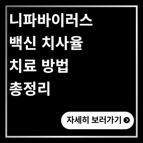 니파바이러스 백신 치사율 치료 방법 총정리
