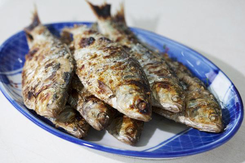 전어 효능 및 부작용