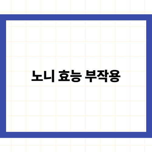 노니 효능 부작용