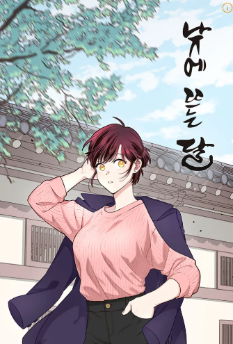 낮에 뜨는 달 표지