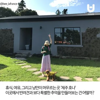 제주 반려견과 함께 가기 좋은 펫프렌들리 숙소 리스트_13