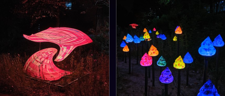 2024 노원달빛산책