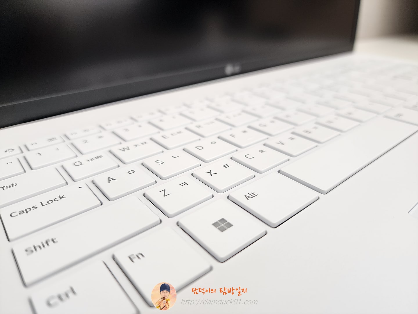 LG전자 2022 그램17(12세대) 17Z90Q-GA76K