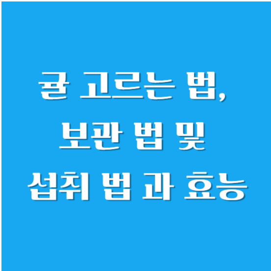 맛있는 귤 고르는 법, 보관 법 및 섭취 법 과 효능 알아보기