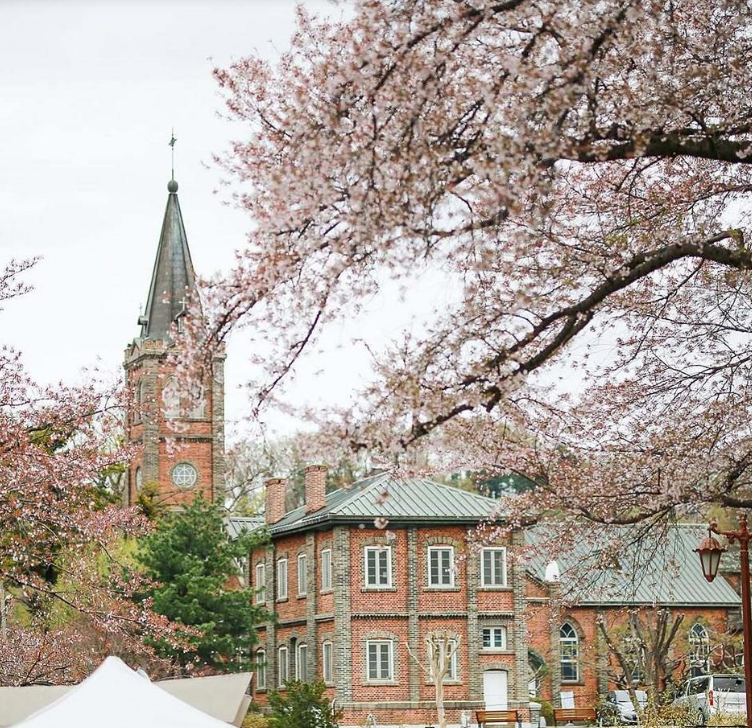 2025 벚꽃 개화시기