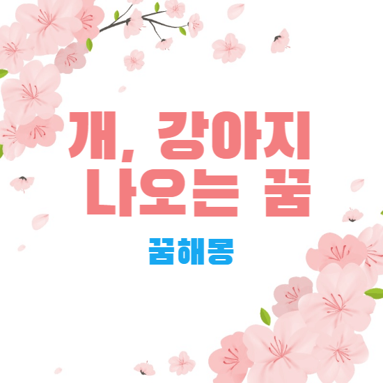 꿈해몽-썸네일