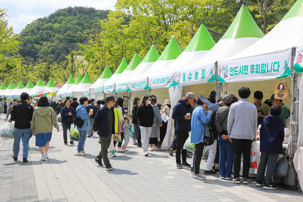 용문산 산나물 축제
