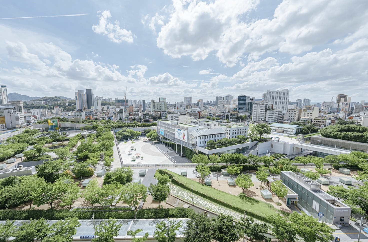 광주광역시에서 도시농사 해보기 - 도심 속 초록 생활의 시작