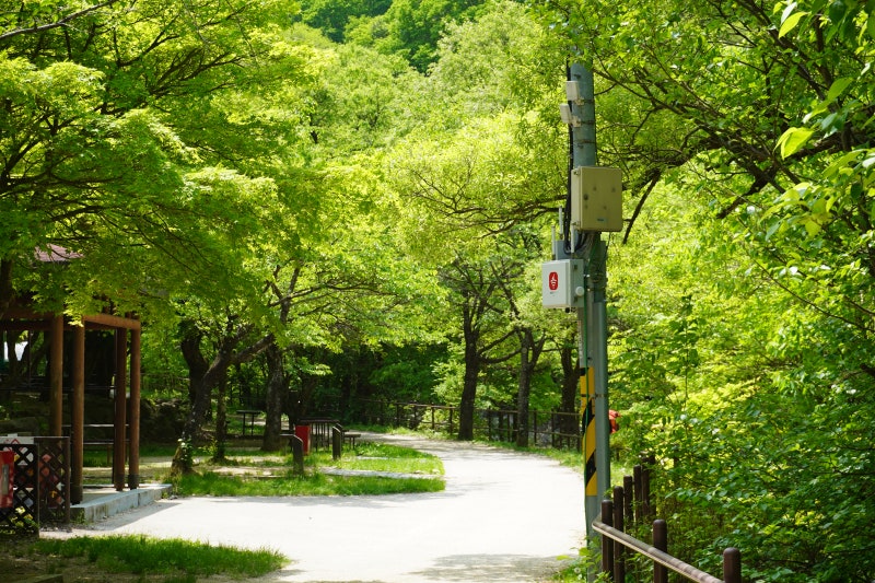 남원시 뱀사골 힐링야영장 소개