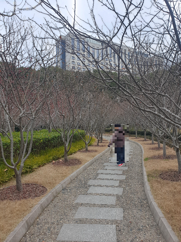 인민공원 돌이 깔린 길 양쪽으로 앙상한 나무가지들이 죽 이어져 있다.