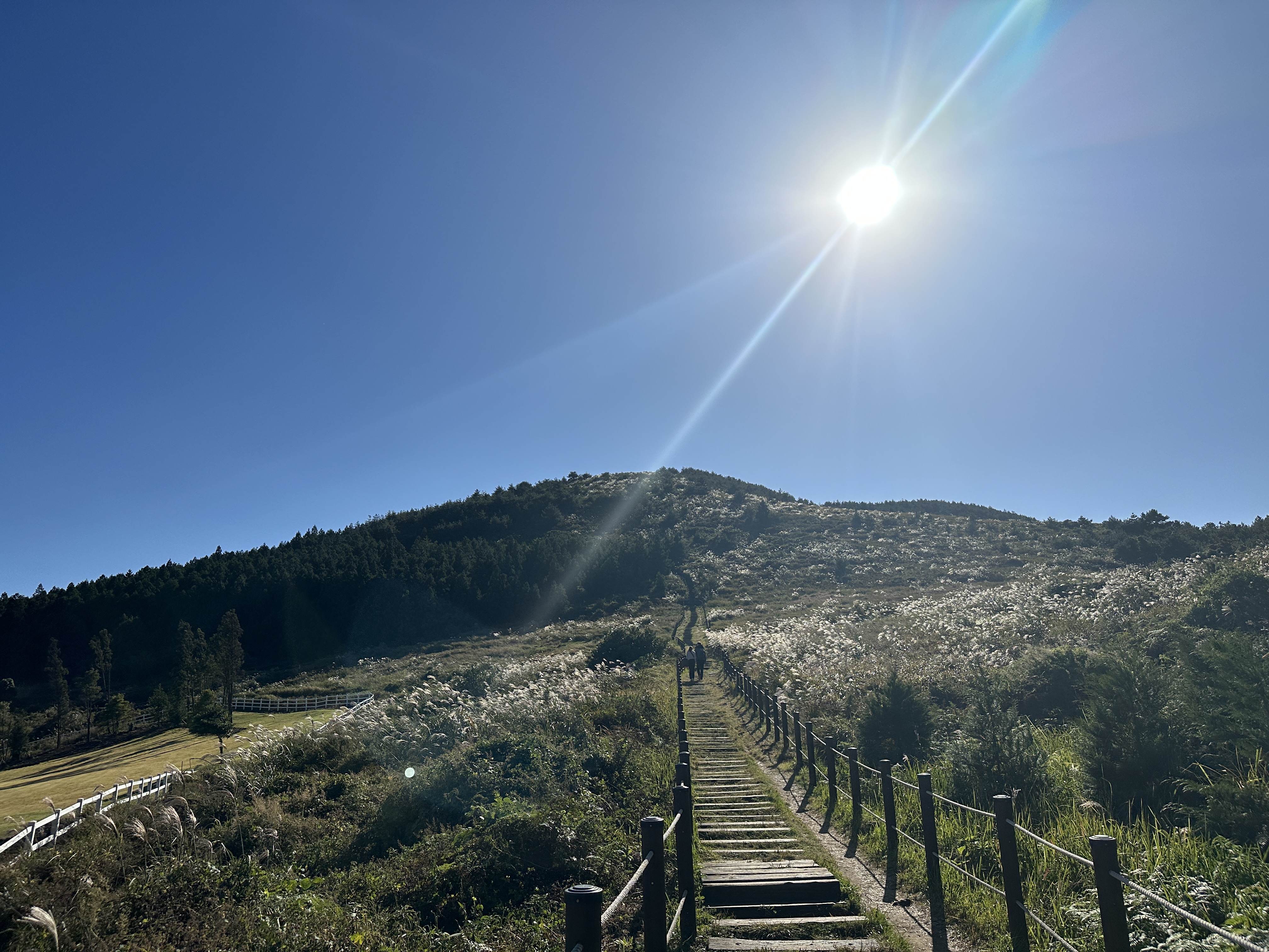 백약이오름 입구