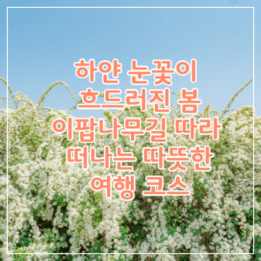 이팝나무명소추천-썸네일