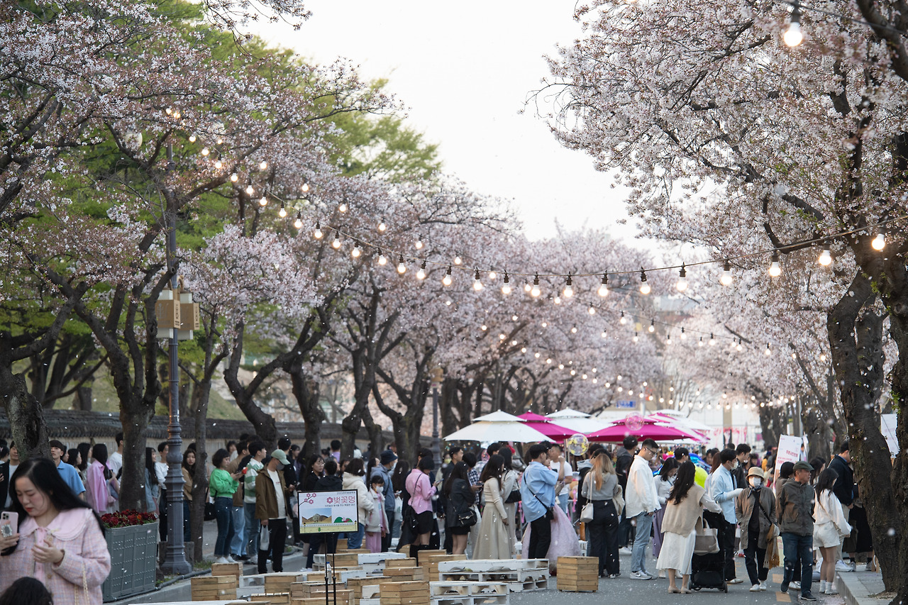 벚꽃 프리마켓