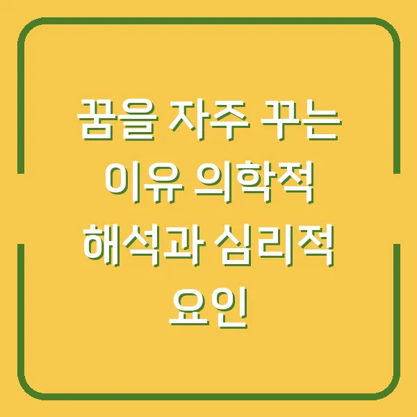 꿈을 자주 꾸는 이유 의학적 해석과 심리적 요인