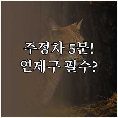 부산 연제구 주정차 알림 문자 서비스..