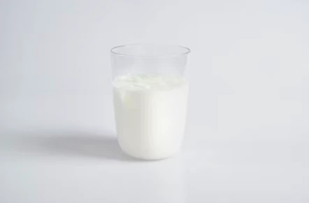 퓨린이 적은 음식