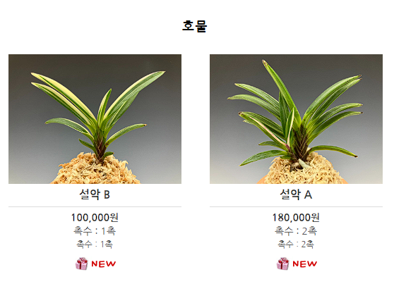 난테크 수익