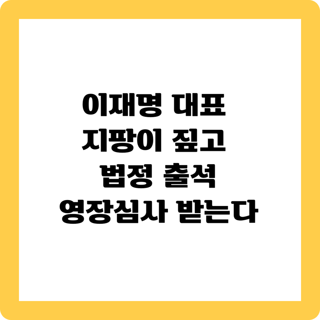 이재명 영장심사