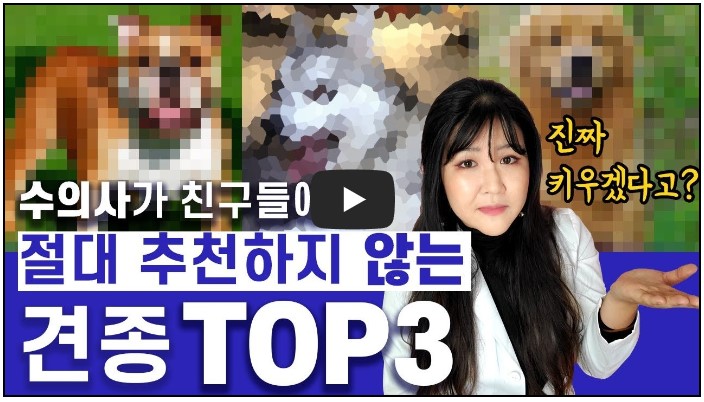 수의사 유튜버 추천 순위 TOP 10 8