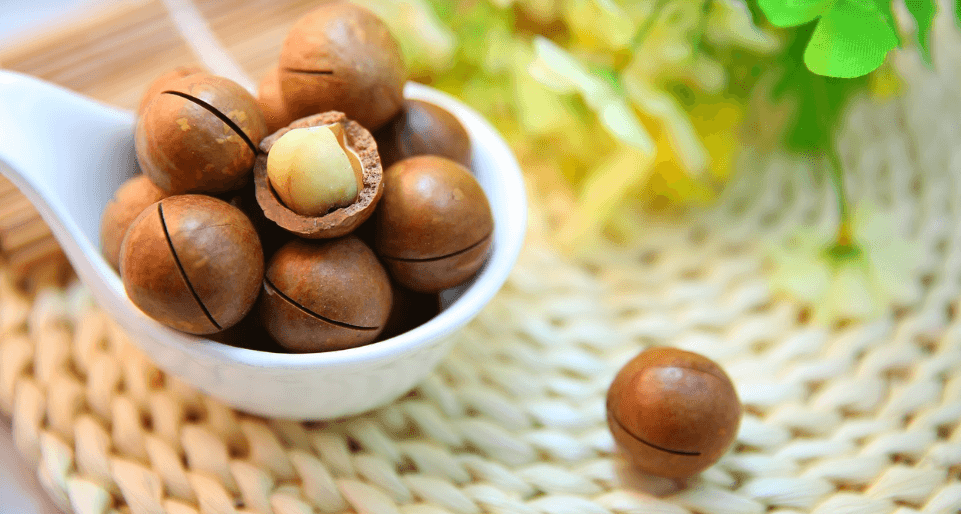 마카다미아 사진 - 1