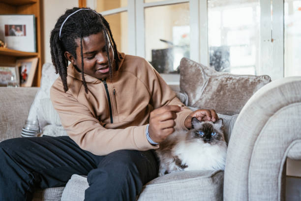 특별한 고양이 이름