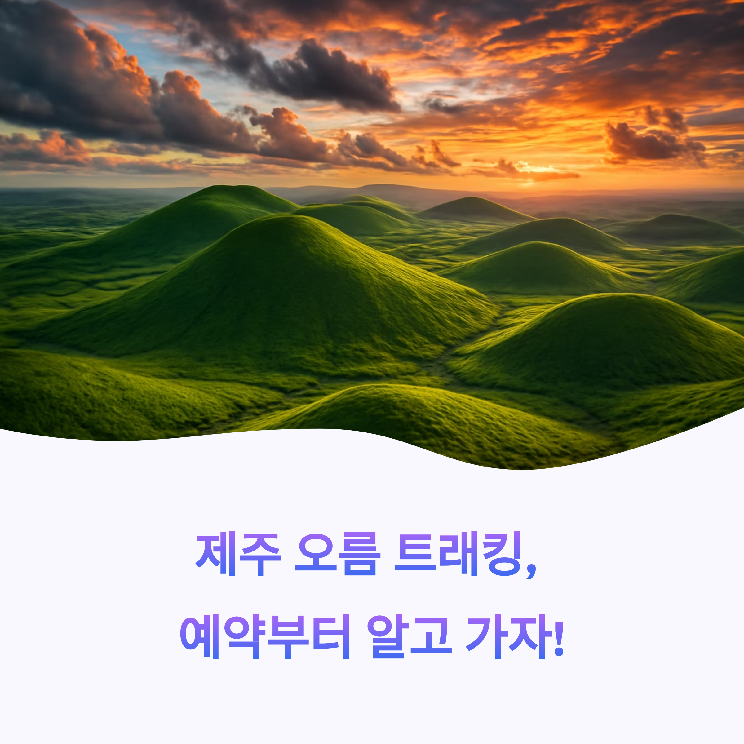 제주 오름 트래킹 예약 총정리 2025 – 거문오름, 야간투어, 숲길, 캠프까지 완벽 예약팁