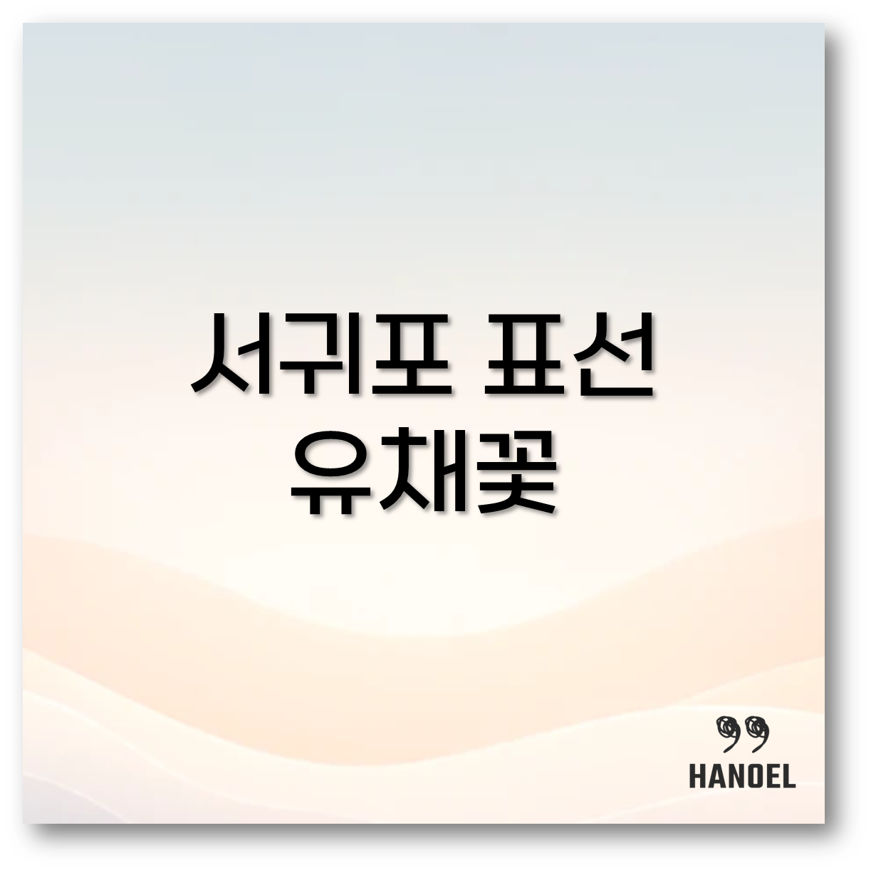 서귀포 표선 유채꽃 축제