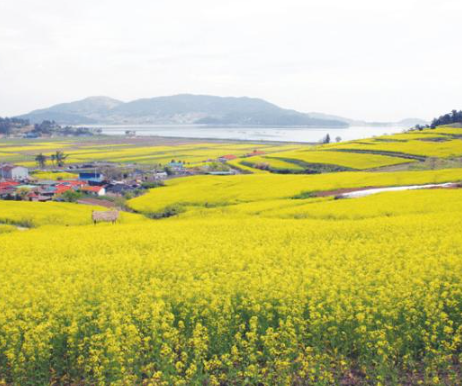 선학동 마을