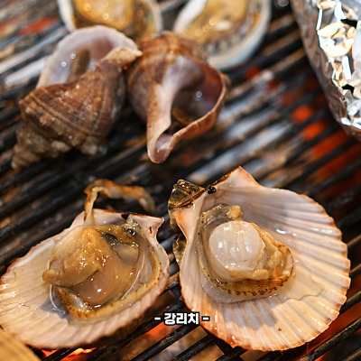 가리비 효능