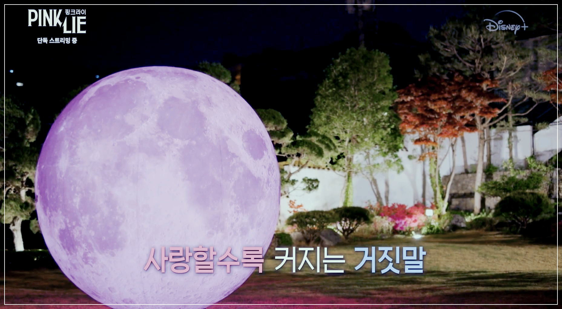 핑크라이 거짓말