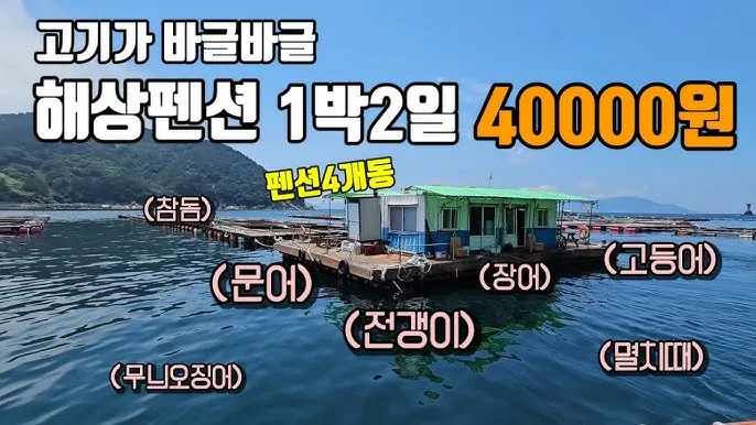 좌대낚시 이용요금 서해 우럭 포인트 입질 시간과 미끼 선택_5