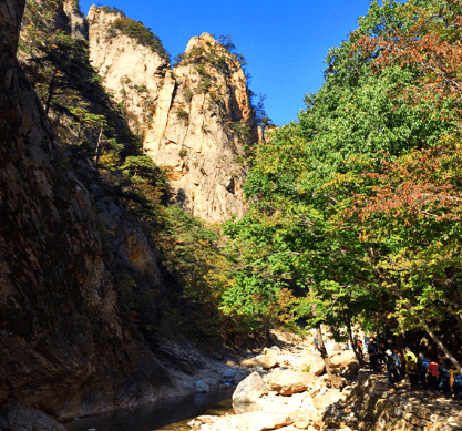 단풍여행 당일 단풍버스여행