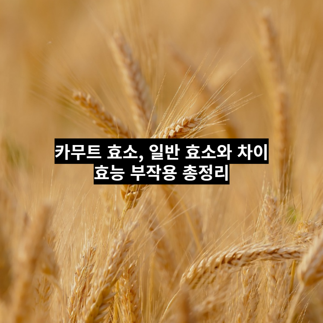 섬네일