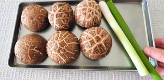 표고버섯 효능_4