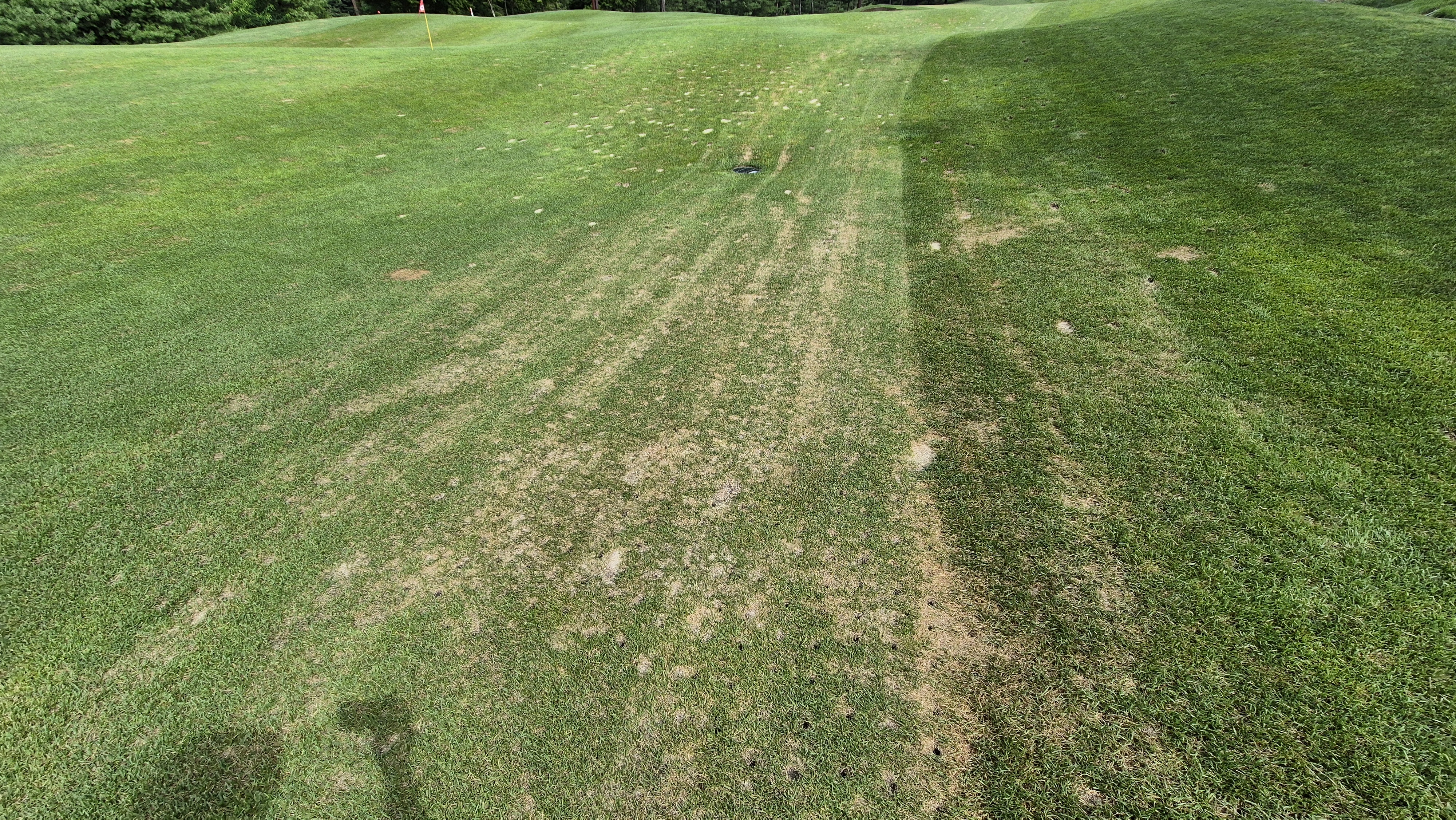 센테리움cc 스코틀랜드-웨일즈 코스 라운드 후기