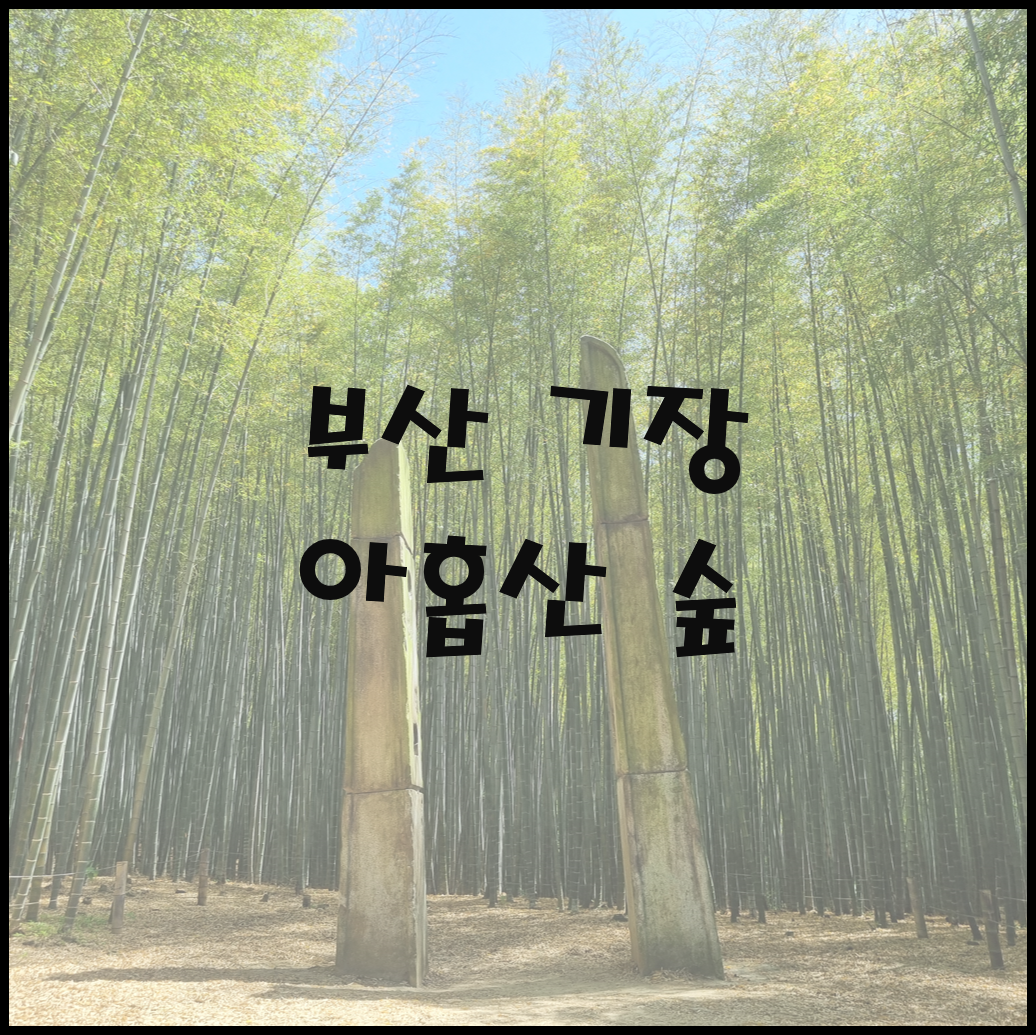 아홉산 숲