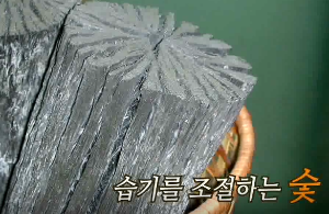 습기를 제거하는 숯