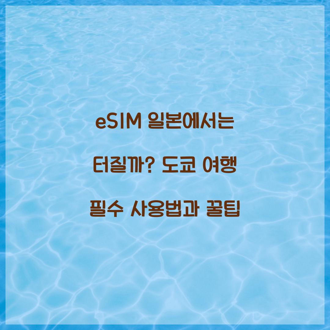 eSIM 일본에서는 터질까