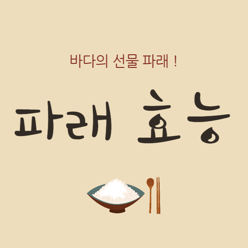 파래-효능