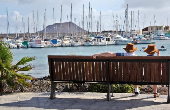증권사 퇴직연금 DC&middot;IRP &lsquo;디폴트 옵션&rsquo; 지정, 왜 해야 할까