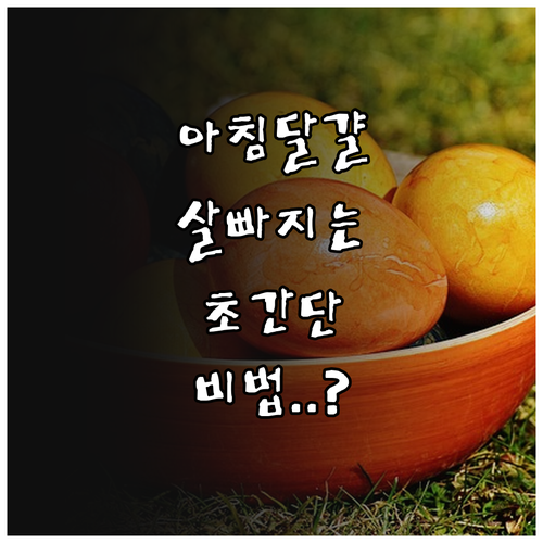 다이어트에 좋은 아침 달걀 효능과 초..