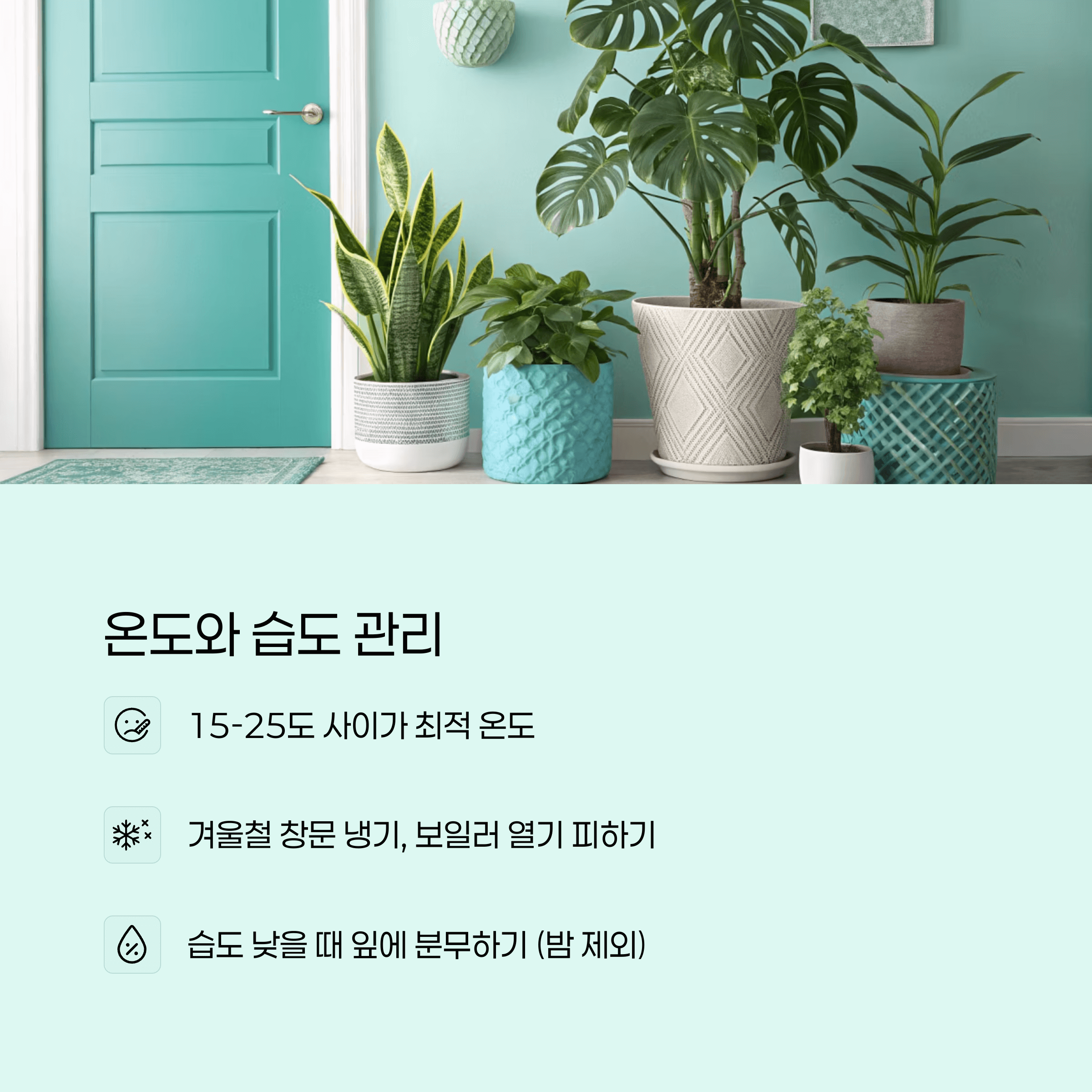 반려식물