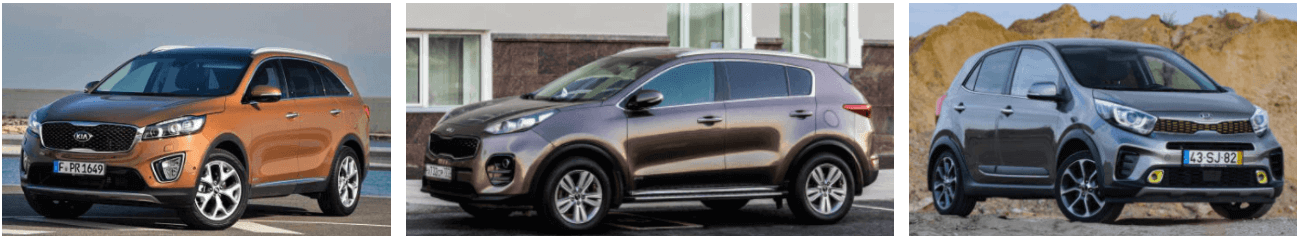 주정차 위반 과태료 조회, 인터넷 자진 납부방법